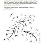 Activity Sheet: Connect the Dots
