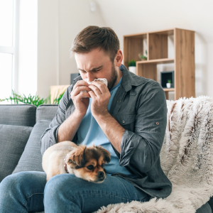 Image of person sneezing into a tissue while sitting on the couch with a dog in their lap.